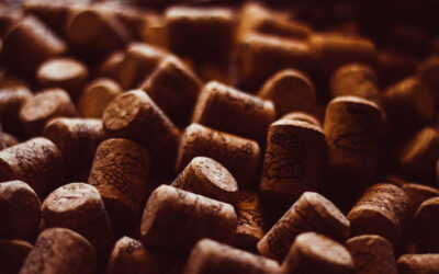 Vinícola XV de novembro: 60 anos