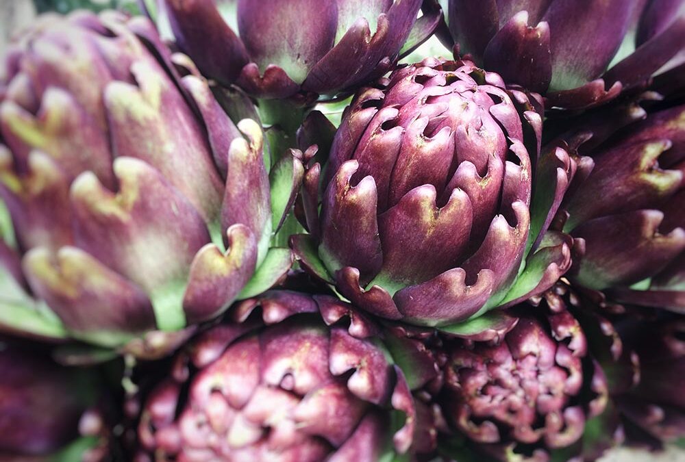 É tempo de Alcachofra!